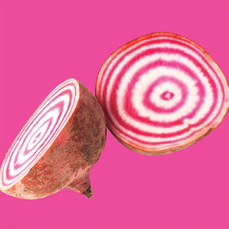 Beet Chiogga Seeds
