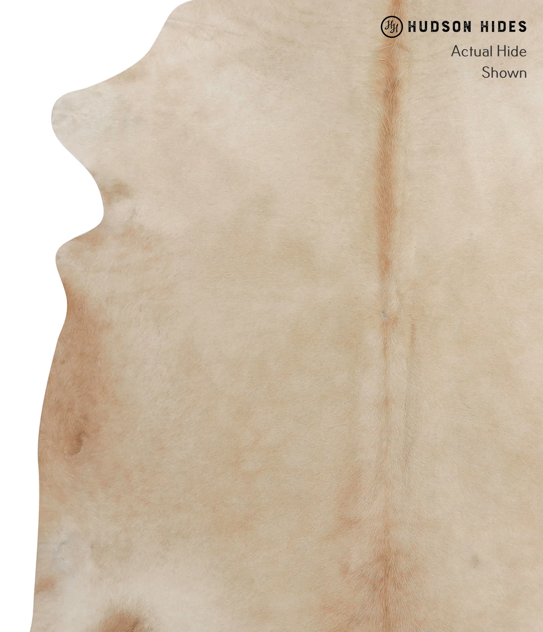 Beige XX-Large Brazilian Cowhide Rug 7'4"H x 6'10"W #82744 by Hudson Hides