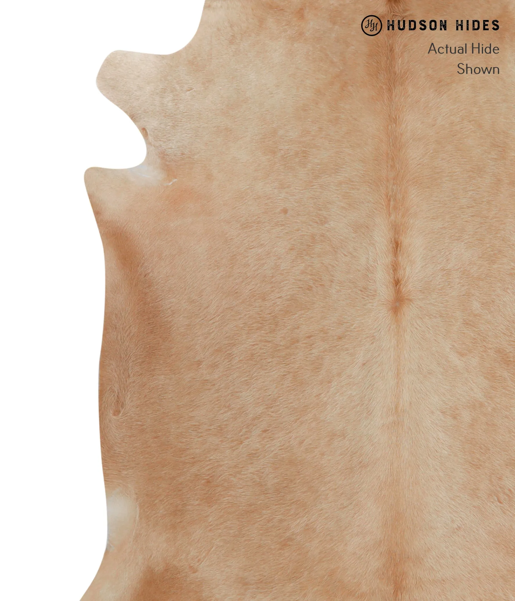Beige XX-Large Brazilian Cowhide Rug 8'3"H x 7'0"W #82597 by Hudson Hides