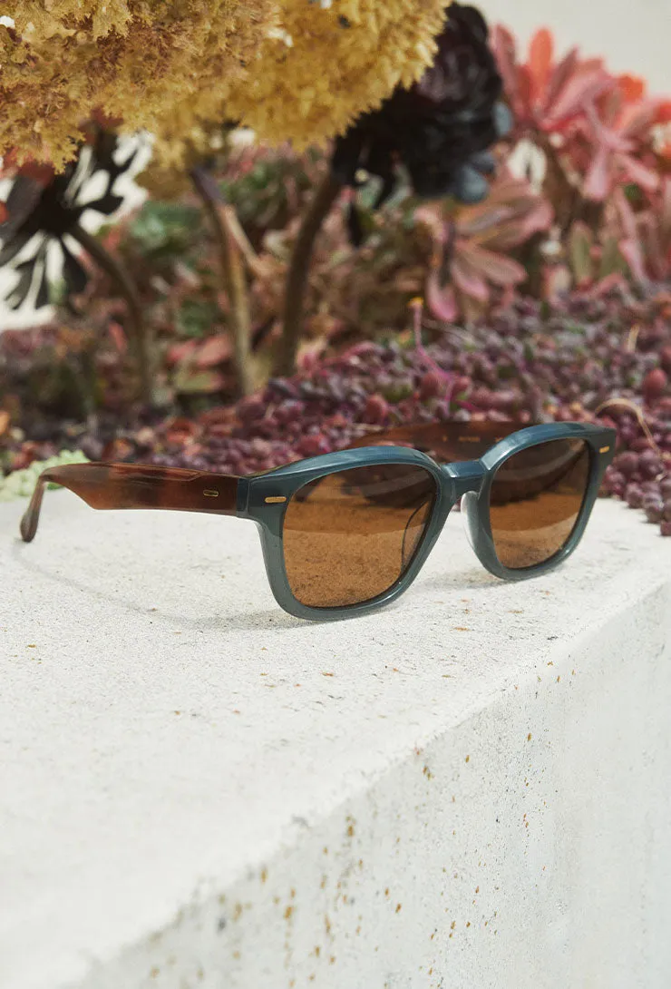 CARBY-Cirus / Vibrant Brown Polarized-53