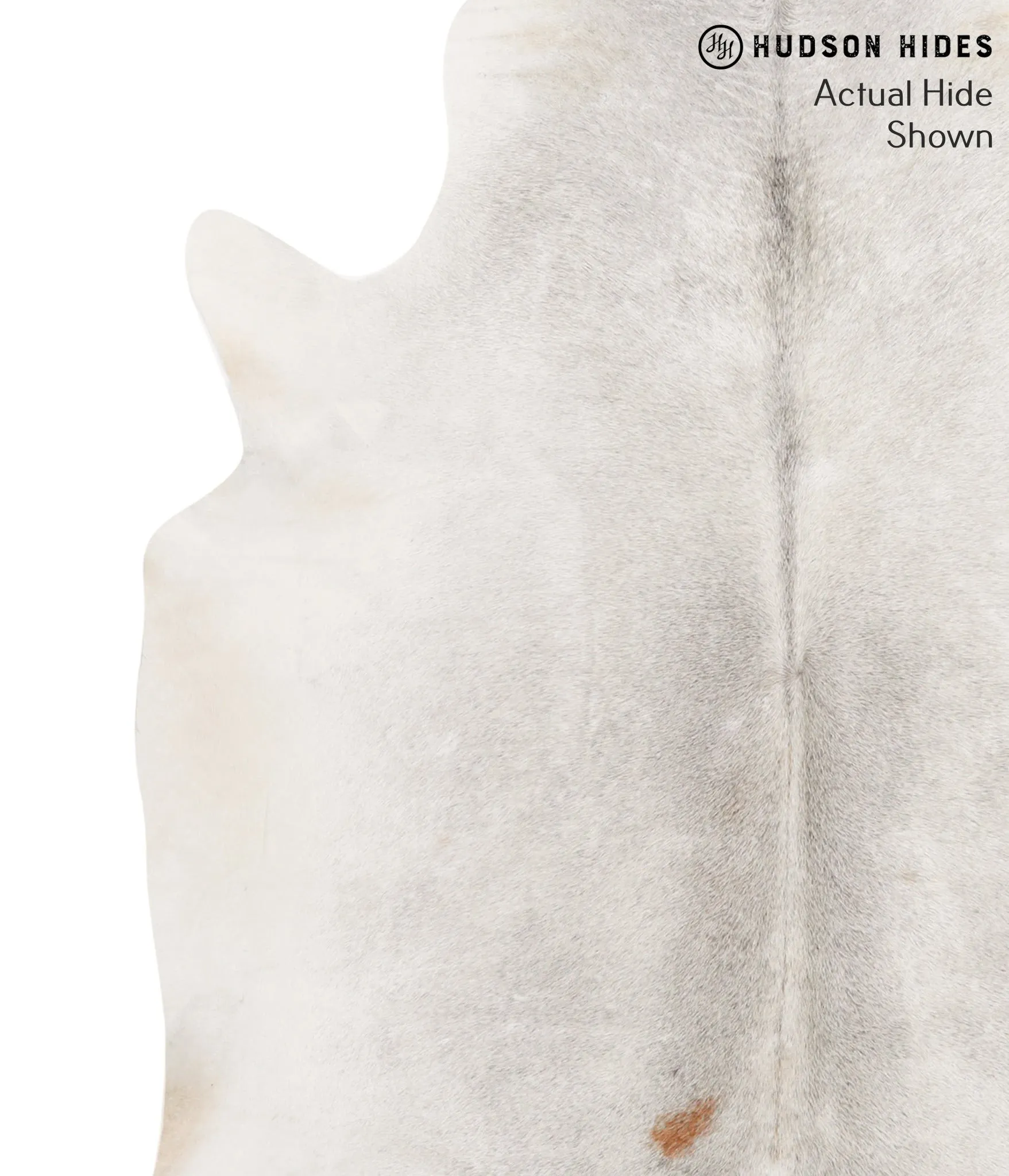 Light Grey X-Large Brazilian Cowhide Rug 6'11"H x 5'11"W #65095 by Hudson Hides