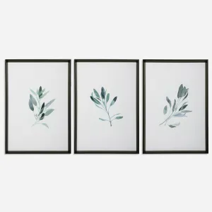 Uttermost Simple Sage Botanical Prints
